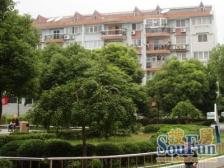 总价低三房两厅,商品房小区,环境十分好