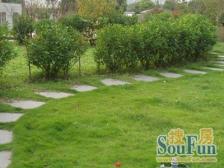 嘉德坊商品房小区,出门14号线地铁,阁楼附赠面积大