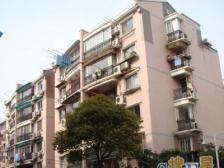 新上好房,熊猫户型,砖石楼层,三房全明,功能间闪耀