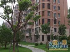 金桥·金桥新城·3室·2厅