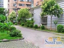 康乐花园2室2厅1卫南朝向530.00万元/套出售