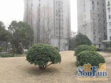 内环边,7号岚皋路地铁,有电梯2楼低总价一房