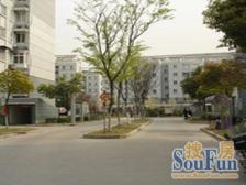 顶楼复式,南大板块,15号线丰翔路地铁站