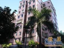 东南向 加州花园电梯精装两房 诚心出售 看房方便