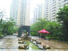 星河传说一期楼层大平层、视野开阔、税费少