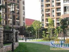 墅级洋房 满五年 高楼层 采光好 保养佳 诚心出售