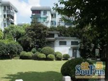 店长推荐: 看小区花园位置,全明双院子-外销房