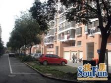 刚需上车 无抵押 现场实勘,店长力推