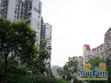 满五年 普通住宅 两梯八户 边套户型 采光无遮挡