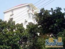 梅园新村精装三房楼层好位置好产权户口清晰诚售可谈