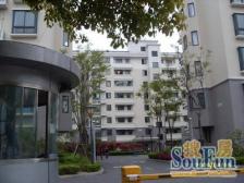 带产权车位 品质物业 电梯房,现场实勘,1梯2户,必看好房