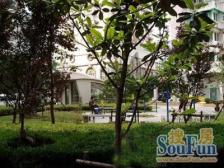 森凯苑 1室2厅 南