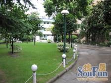 顶楼大复式+复旦书包房