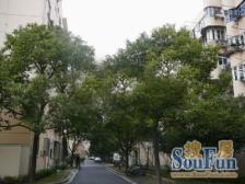 梅陇·梅陇一村·2室·1厅