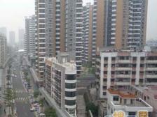 香港街 1室1厅 西南