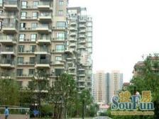 川新小区 1室1厅 南 北