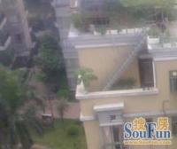 田林·怡桂苑·1室·1厅