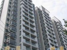 田林·虹桥大仕馆·1室·1厅