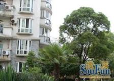 莘庄·银霄大厦·3室·1厅