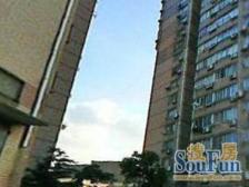 时运苑2室南朝向478.00万元/套出售