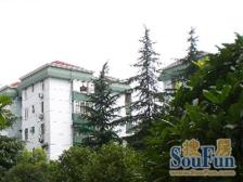 非顶楼 花园式住宅,别墅式体验,一梯四户,边套全明