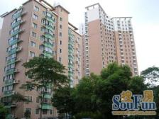 三开间朝南飞机户型方正,交通便利,配套成熟,采光好