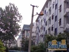 龙柏核算王 一家人的温馨时光从住这套房开始