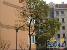 海杨公寓 2室2厅 南 北