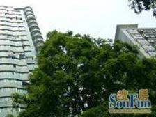 双南景观房,前看老洋房,很少出房源