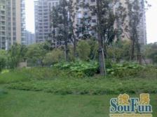 衡山路地--铁口+边套两房+全明户型+随时可看