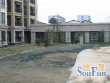 电梯户型,临苏州河,风景宜人,南北直通三开间朝南