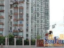 陆家嘴电梯两房 八佰伴商圈 配套齐全 近世纪大道 明珠