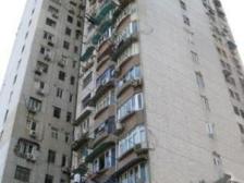 陆家嘴电梯两房 八佰伴商圈 配套齐全 近世纪大道 明珠