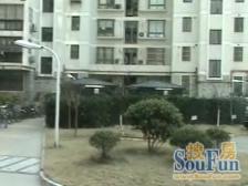 滨江跑道的电梯3房+客厅朝南+1梯2户。