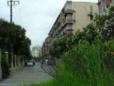 丰庄十二街坊2室南朝向275.00万元/套出售