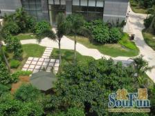 时尚岛蓝钻 1室0厅 西南