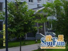 良隆园2室2厅1卫南