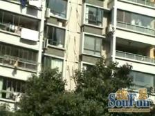 晋元两卫全明飞机户型,窗外治愈森林氧吧,有产权车位