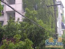 近地铁,刚需上车,无抵押,新上房源