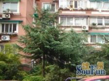 品质小区,大开间,大两房,环境优美