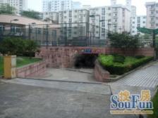斜土路大木桥·兴南花园·3室·2厅
