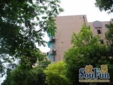 环境优美,价格好谈,居家装修,南北通透,近商圈,配套完善,一梯四户