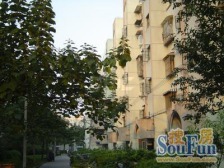 云莲苑 2室2厅1卫 南 简装