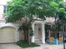 市区联排别墅 南北通 带花园 千坪草坪 鸟语花香