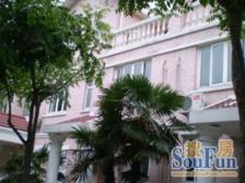 市区联排别墅 南北通 带花园 千坪草坪 鸟语花香