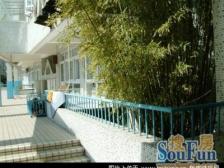 客厅带阳台,近商圈,小区中心位置,主卧朝南