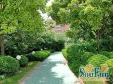 本月必买:近地铁+电梯三房+全明户型