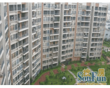 房子满五唯一 无个税 朝南 采光通风好