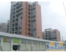 活力粤港西区 精装修两房 随时看房