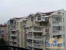 欧式外立面新上两房,业主急售,钢混结构